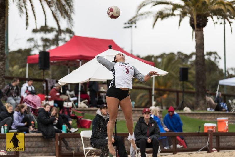 Stanford Volleyball
