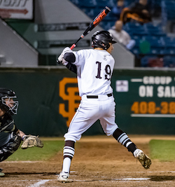 All-NorCal Baseball selection Ryan Jeffries of St. Francis-Mountain View