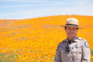 CA State Park system offers summer jobs